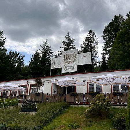 Pension Und Berggasthaus Kapellenstein Geyer Extérieur photo